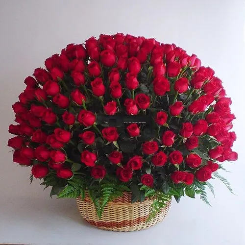 Canasta Monumental de 200 Rosas